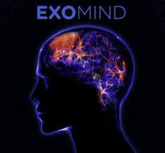 Exomind Brain Logo